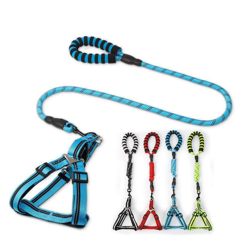 🐾 Dog Leash Collection!!