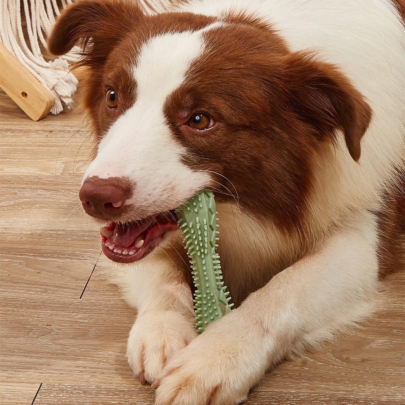 🐾 Pet Chew Chew Treats!!