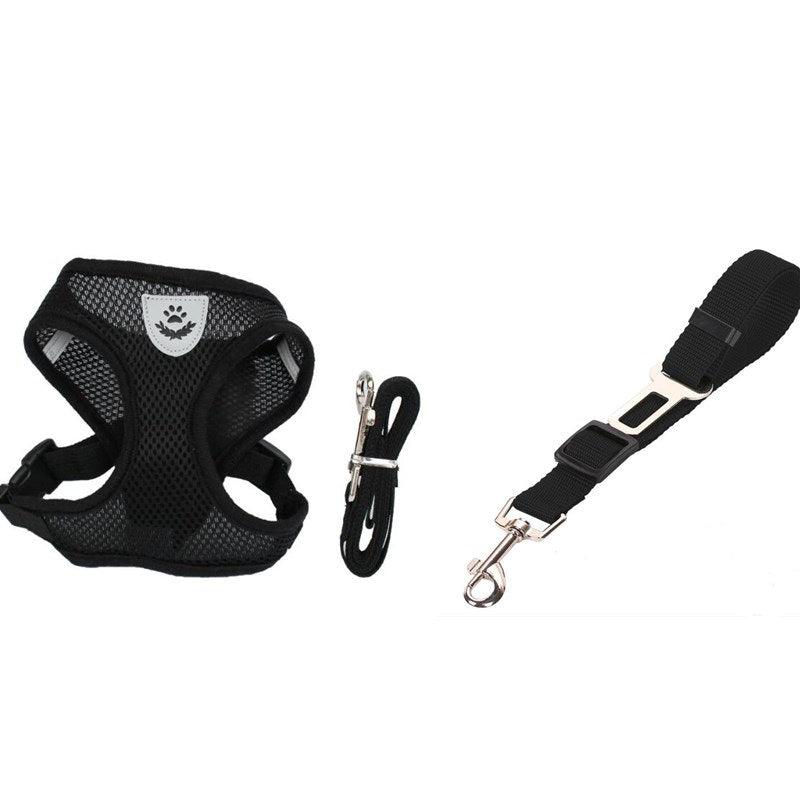 🐾 Pet Comfort Ride Leash & Seat Belt Combo – Adjustable Dog Leash with Car Safety Belt for Secure Walks!! - PAWLUX Best Pet Supplies 