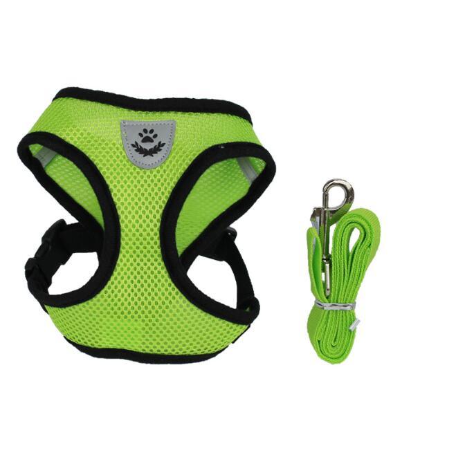 🐾 Pet Comfort Ride Leash & Seat Belt Combo – Adjustable Dog Leash with Car Safety Belt for Secure Walks!! - PAWLUX Best Pet Supplies 