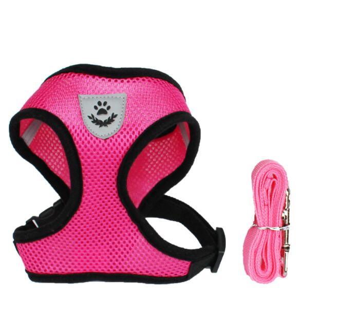 🐾 Pet Comfort Ride Leash & Seat Belt Combo – Adjustable Dog Leash with Car Safety Belt for Secure Walks!! - PAWLUX Best Pet Supplies 