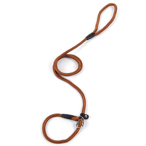 🐾 Ultimate Control Nylon Dog Leash – Adjustable Strong Training Lead for Small, Medium & Large Dogs (150cm) - PAWLUX Best Pet Supplies 
