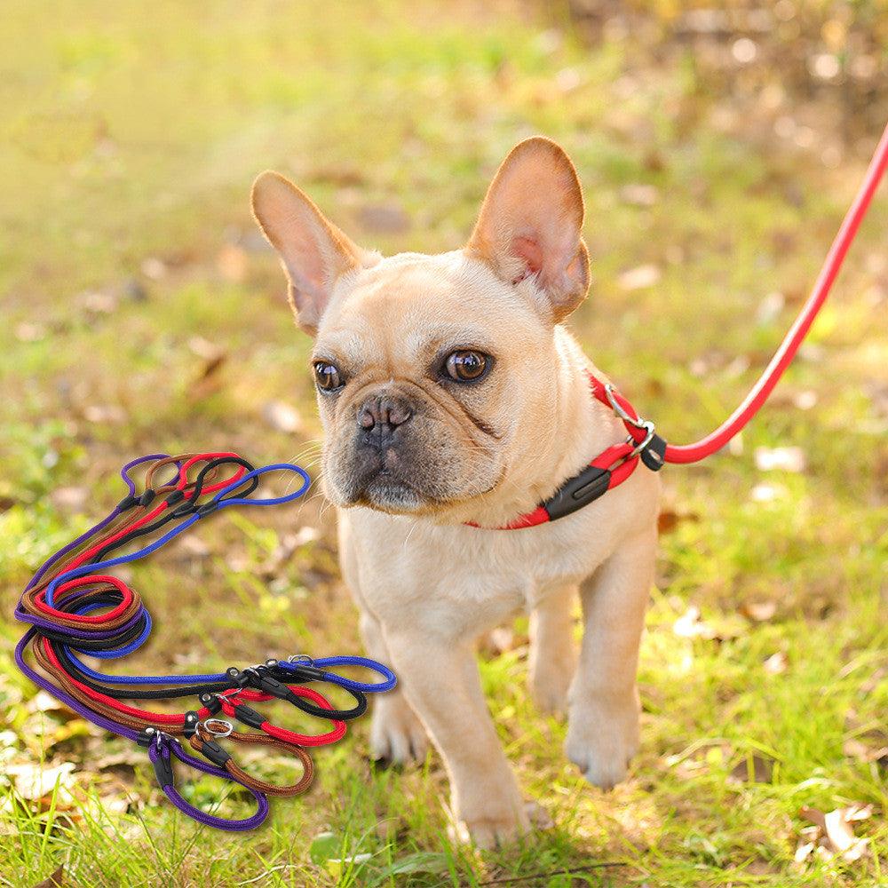 🐾 Ultimate Control Nylon Dog Leash – Adjustable Strong Training Lead for Small, Medium & Large Dogs (150cm) - PAWLUX Best Pet Supplies 