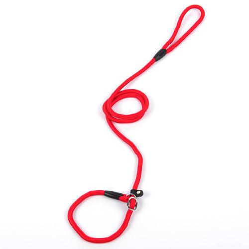 🐾 Ultimate Control Nylon Dog Leash – Adjustable Strong Training Lead for Small, Medium & Large Dogs (150cm) - PAWLUX Best Pet Supplies 