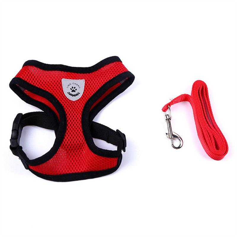 🐾 Pet Comfort Ride Leash & Seat Belt Combo – Adjustable Dog Leash with Car Safety Belt for Secure Walks!! - PAWLUX Best Pet Supplies 