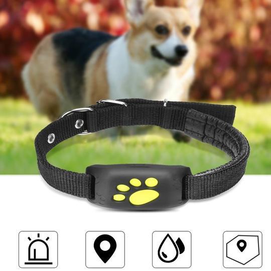 📍 Pet GPS Tracker Finder – Real-Time Location for Dogs & Cats 🐕🐈