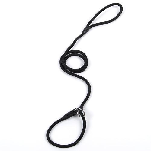 🐾 Ultimate Control Nylon Dog Leash – Adjustable Strong Training Lead for Small, Medium & Large Dogs (150cm) - PAWLUX Best Pet Supplies 