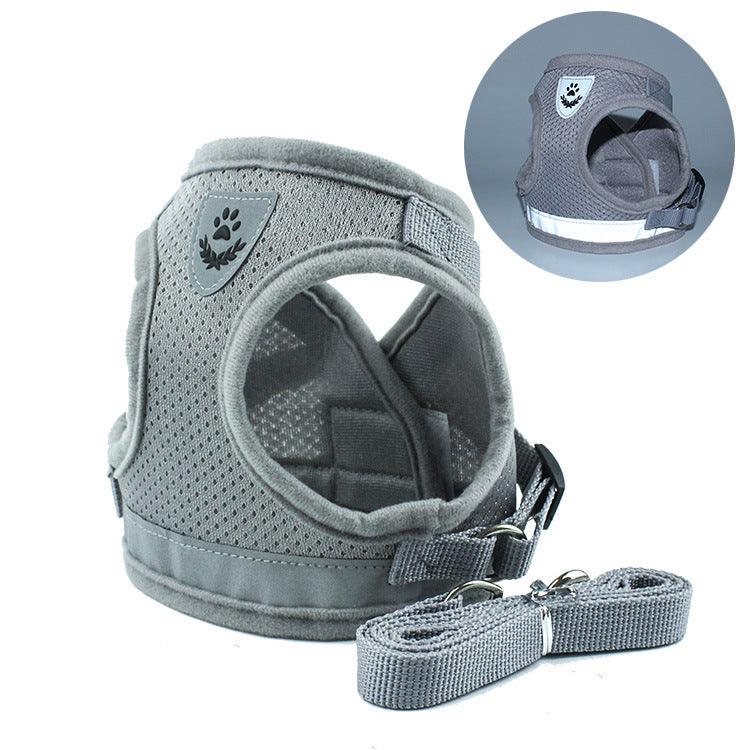 🐾 Pet Comfort Ride Leash & Seat Belt Combo – Adjustable Dog Leash with Car Safety Belt for Secure Walks!! - PAWLUX Best Pet Supplies 