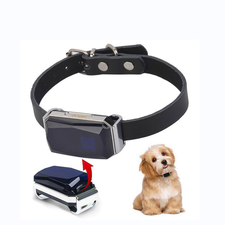 🐾 Durable ABS+PC Pet Accessory – Safe & Long-Lasting 🐕🐈