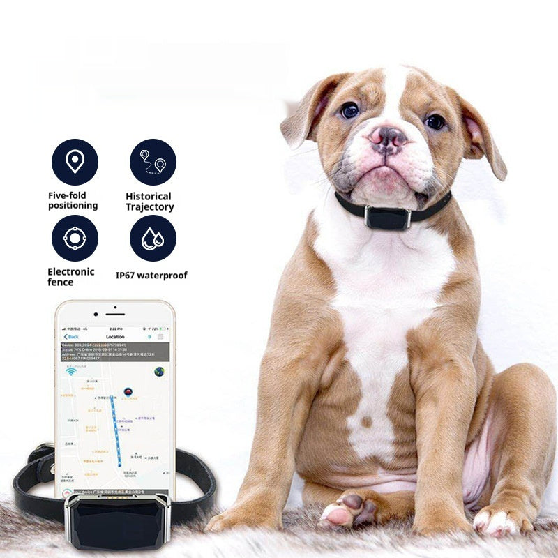 🐾 Durable ABS+PC Pet Accessory – Safe & Long-Lasting 🐕🐈
